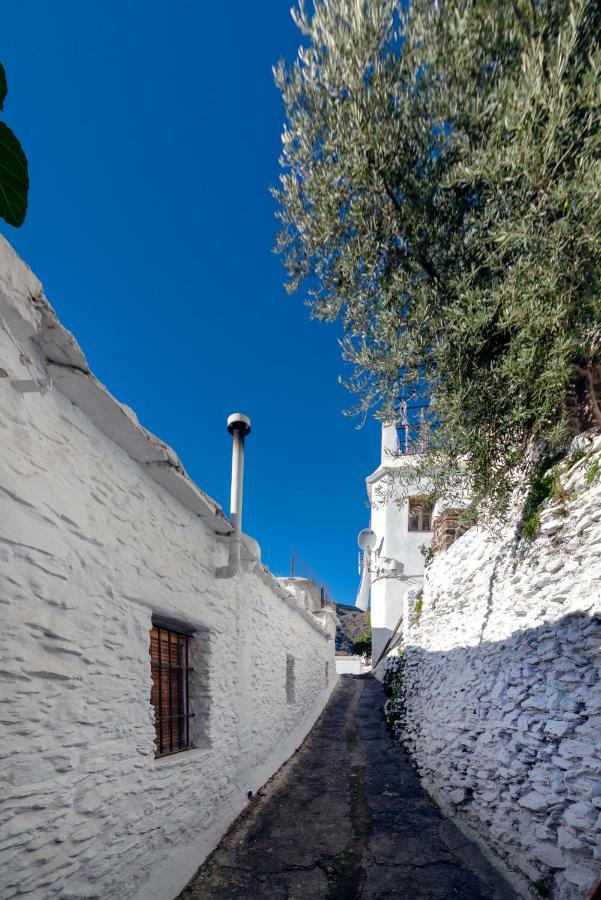 فيلا Casa La Parra كابيليرا المظهر الخارجي الصورة